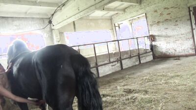 Dog licking girl: female switch dog porn