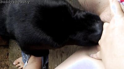 New zoo porn: zoo sex big dog