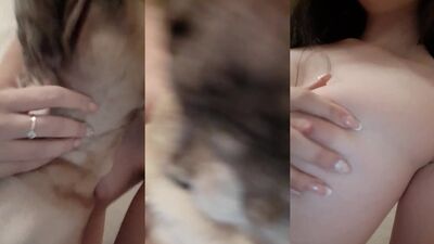 Dog fuck porn: zoo sex man dogs