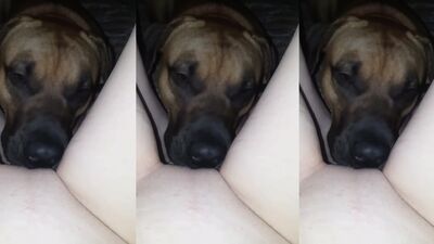 Zoo sex video: 3d porno girls dog
