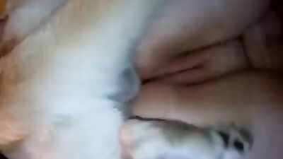 Zoo dog sex: zoo porn video guys