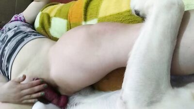 Bestiali comics: zoo little sex