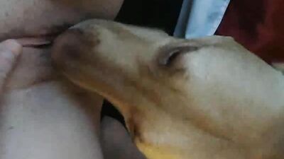 Sex animal's: emmaly dog sex