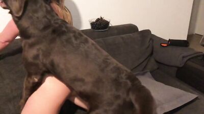 Zoo porn 2026: rule34 zoophilia