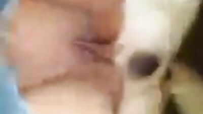 3d dog porn: zoo porn godiva