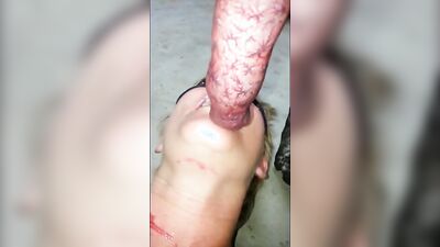 Animal sex video: animal porn video gallery