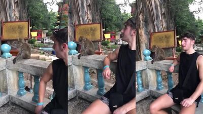 3d bestiality: porn animal and woman sex