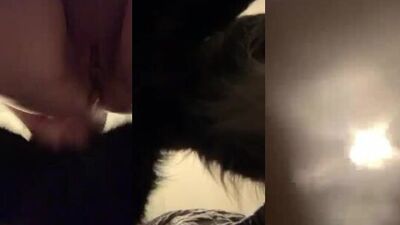 Dog girl play: xnxx animal porn
