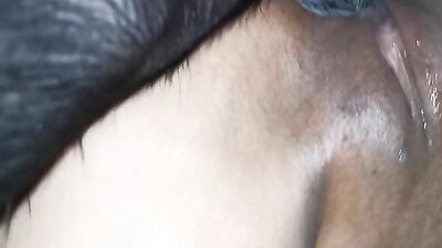 Zoo sex video: milf zoo porn