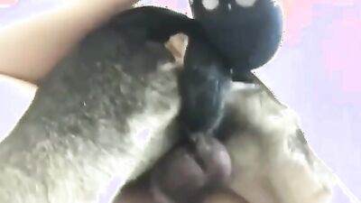 Dog fuck girl: secret sex with an animal intimate