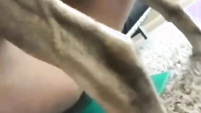 Dog fuck girl: secret sex with an animal intimate