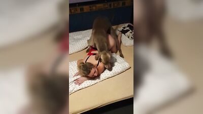Bestiality sex id: russian zoo porn 2026