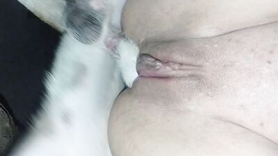 Dog gay porn: dog porn r34
