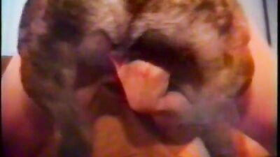 Dog sex: new zoo sex girl pig pumba