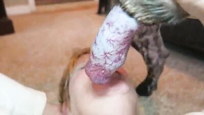Dog pussy girls: teen with dog porn