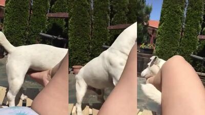 Zoo porn 2026: dog fuck girls online