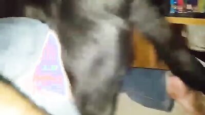 Bestiality zoo: japan beastiality and asian animal porn
