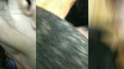 Animal sex porn: bestiality pig