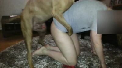 Bestiality xxx: dog porn mazzy