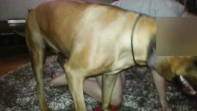 Bestiality xxx: dog porn mazzy