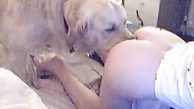Gay zoo porn: dog sex female orgasm
