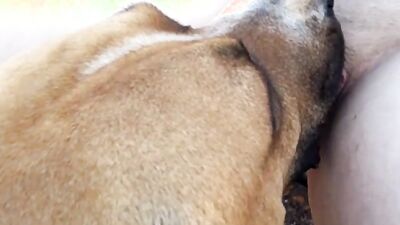 Boy girl dog: dog fuck russian girl