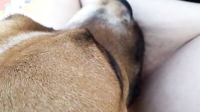 Boy girl dog: dog fuck russian girl