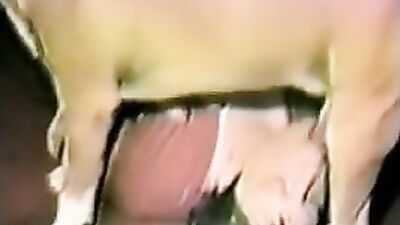 Girls 5 dogs: amatör zoo porn