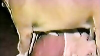 Girls 5 dogs: amatör zoo porn