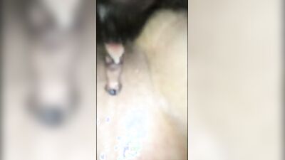 Bestiality horse: dog sex doll