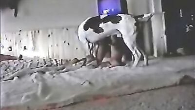 Bestiality hentai: zoo video sonya