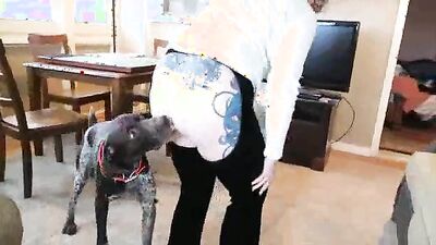 Dog gay porn: bestiality porno taboo