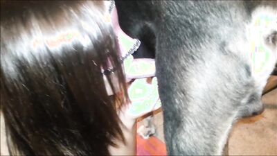 Zoo porno video: 3 dog sex