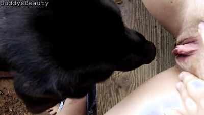Bestiality games: veronica silesto dog sex