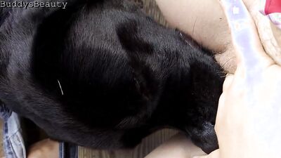 Bestiality games: veronica silesto dog sex