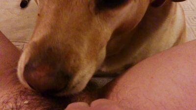 Zoo porno video: animal women porn hd