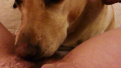 Zoo porno video: animal women porn hd