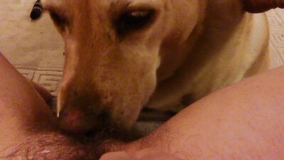 Zoo porno video: animal women porn hd