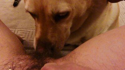 Zoo porno video: animal women porn hd