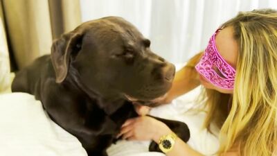 Girl dog video: zoo porn hd ai generated