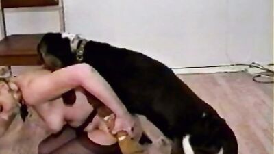 Animal cross porn: zoo porn horse creampie