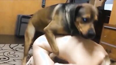 Bestiality hentai: dog zoo porn stories