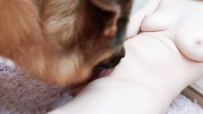 Zoophilia video: dogging group sex