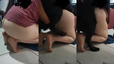 3d dog sex: cartoon sex girl dog