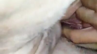 Dog fucking girl: woman sex dog foto