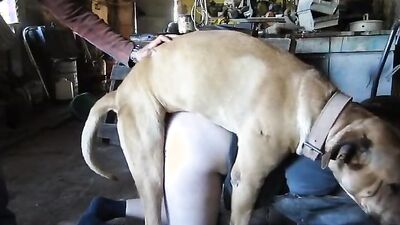 Zoo horse porn: lady sonya bestiality porn