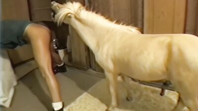 Girls 5 dogs: zoophilia game