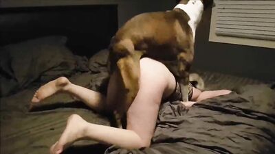 Dog girl porn: ivana grindhound zoo porn