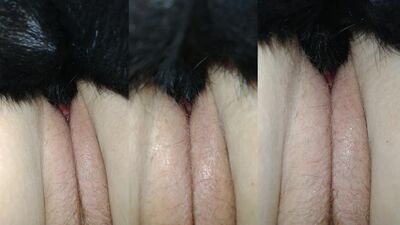 Bestiality games: sexy girl dogs