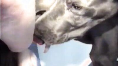 Animal dog sex: sex instrukci zoo
